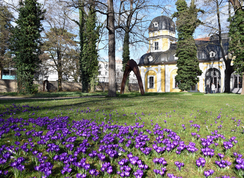 Aphasie Unterfranken: Bewegungsaktion im Juliusspital Park